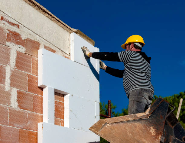 Best Home Insulation Services  in Hlsboro, IL