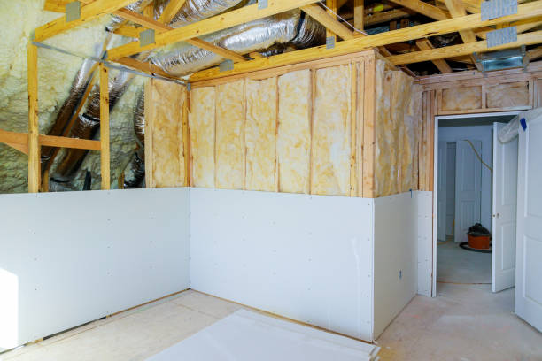 Best Insulation for New Construction  in Hlsboro, IL