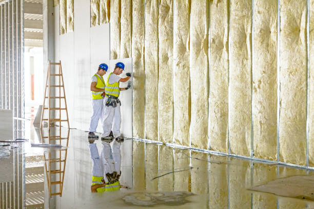 Best Insulation Contractor Near Me  in Hlsboro, IL